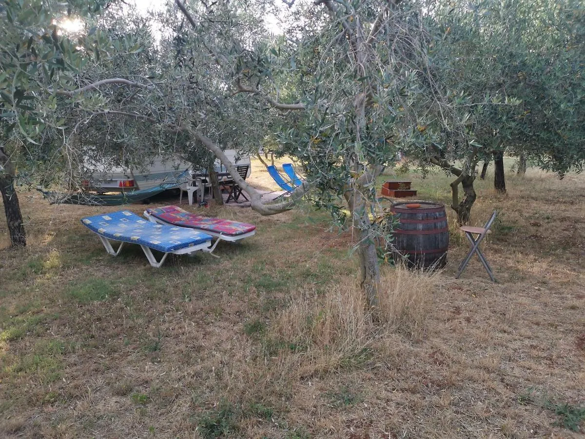 Campingplatz Camping Volme Banjole Kroatien